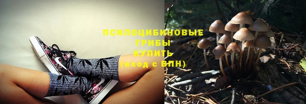 винт Кодинск