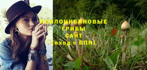 трава Киренск