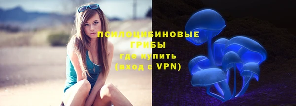 ALPHA PVP Кинешма