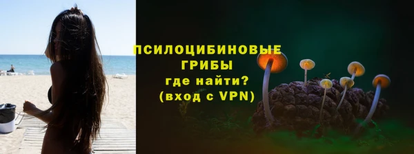 трава Киренск