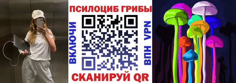 Псилоцибиновые грибы мицелий  Купить  Балашов 